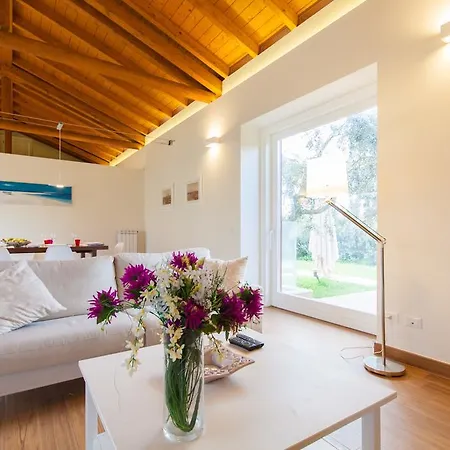 Dell'ulivo - By Domusicily * 테라시니