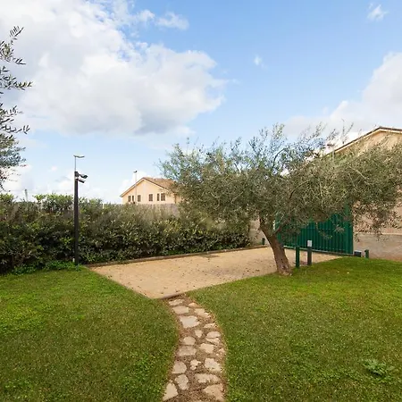 Dell'ulivo - By Domusicily *